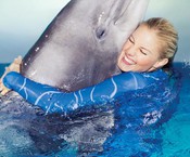 Dolfinarium Harderwijk